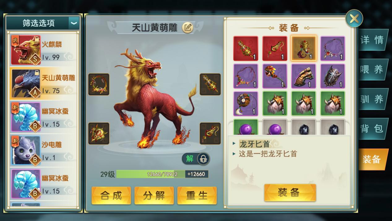 你的宠物有SS装备了没?-心游良品